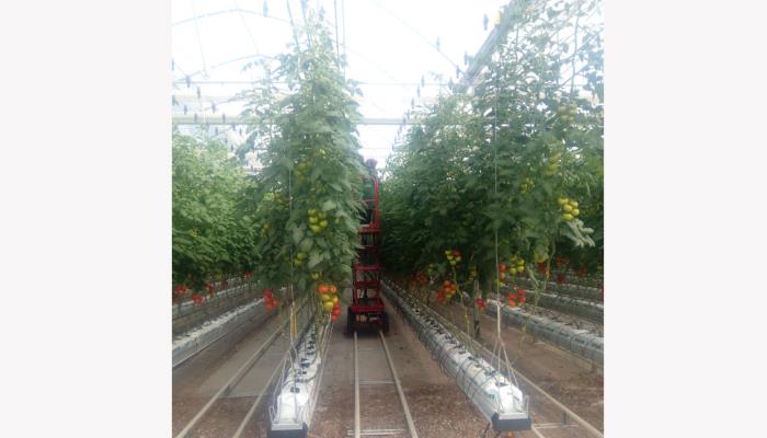 سیستمهای کشت هیدروپونیک